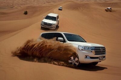 Evening Desert Safari & BBQ With Live Shows,Camel Ride,Falcon pic