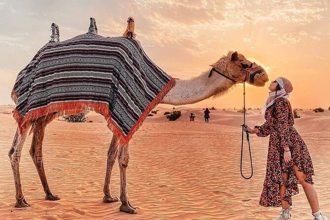 Evening Desert Safari & BBQ With Live Shows,Camel Ride,Falcon pic - Sandboarding and the high-dune photo stop