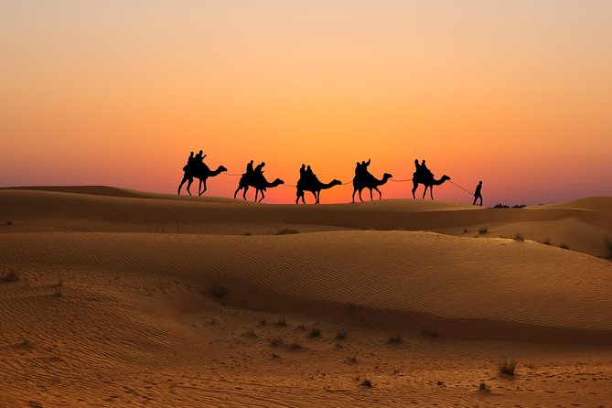 Evening Desert Safari in Dubai, Sandboard & BBQ Dinner - BBQ dinner under the stars
