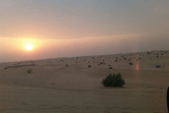 Evening Desert Safari Tour With Live Enterterment And BBQ Dinner - Dune driving in a Toyota Land Cruiser