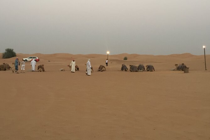 Evening Desert Safari Tour With Live Enterterment And BBQ Dinner - Camel rides, camp activities, and the Bedouin theme
