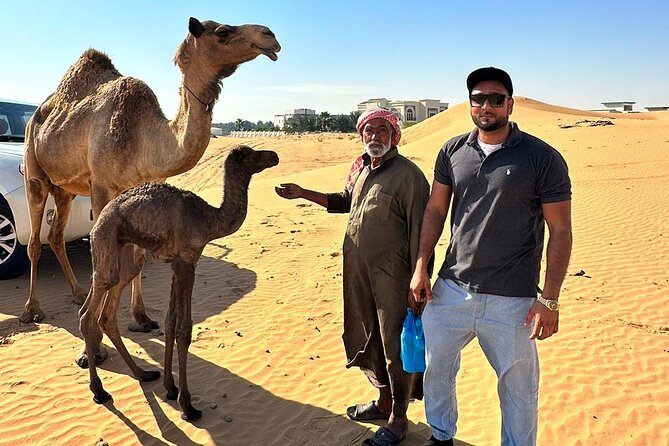 Evening Desert Safari Tours - Sandboarding, camel riding, and desert photographs