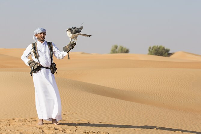 Evening Desert Safari with ATV Quad Bike Dune Bashing BBQ Dinner - BBQ dinner and a full evening of stage shows