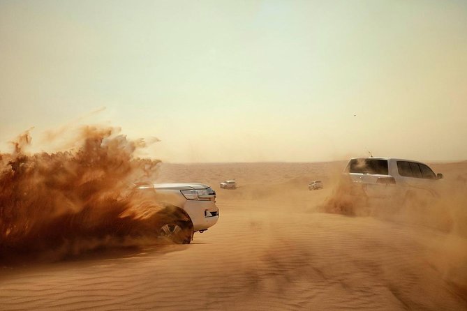 Evening Desert Safari with BBQ Dinner - Group size, comfort, and the feel of the evening