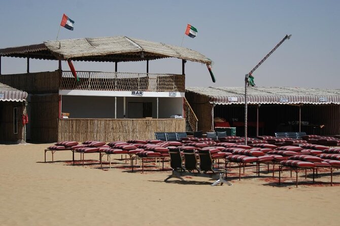 Exhilarating Desert Safari, Including BBQ Dinner from Dubai - The 4x4 dune ride: thrilling, not gentle