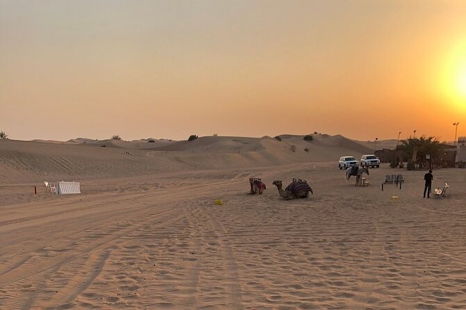 Exhilarating Desert Safari, Including BBQ Dinner from Dubai - Camel riding, sand boarding, and henna