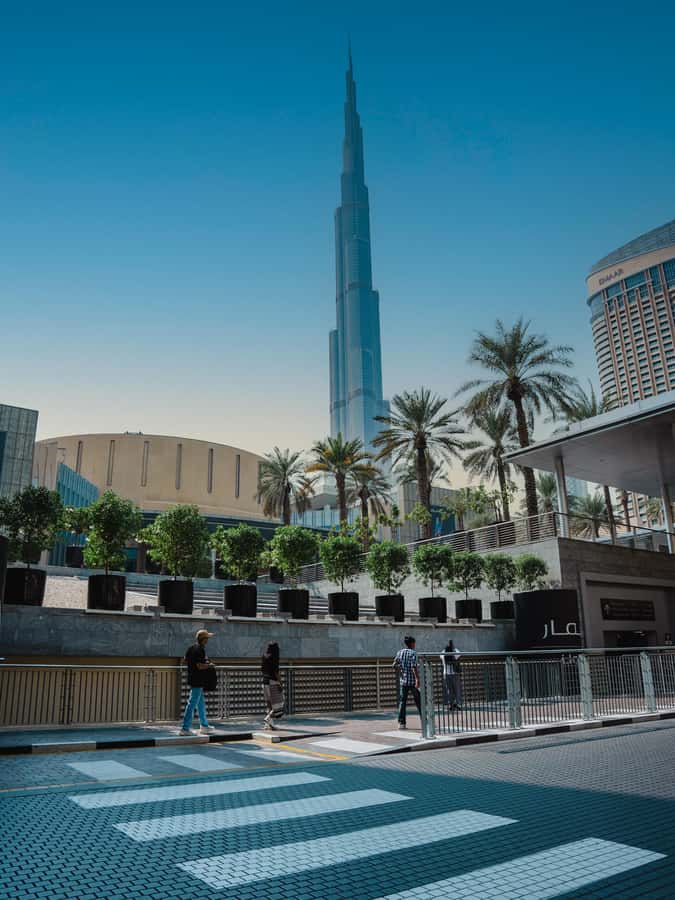 From Abu Dhabi: Dubai Full-Day Sightseeing Tour - Museum of the Future and Dubai Frame from the road