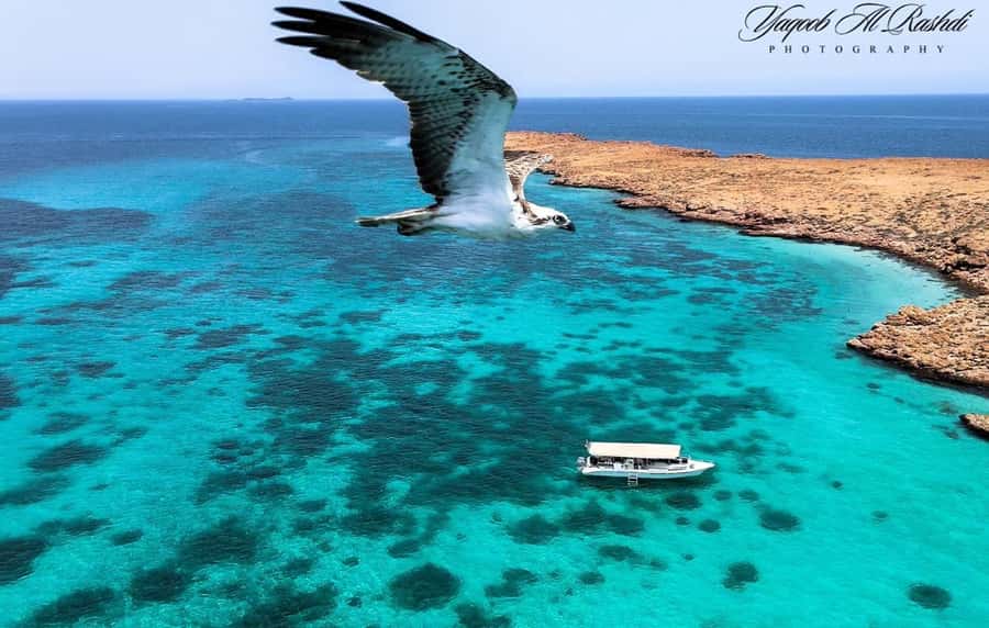 From Al-Seeb: Dimaniyat Islands Boat Trip with Snorkeling - From Al-Seeb Marina to the Dimaniyat Islands