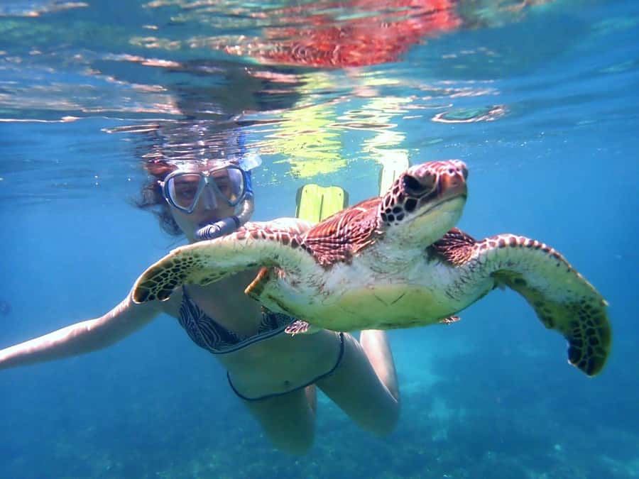 From Al-Seeb: Dimaniyat Islands Boat Trip with Snorkeling - Snacks and shade make the morning easier