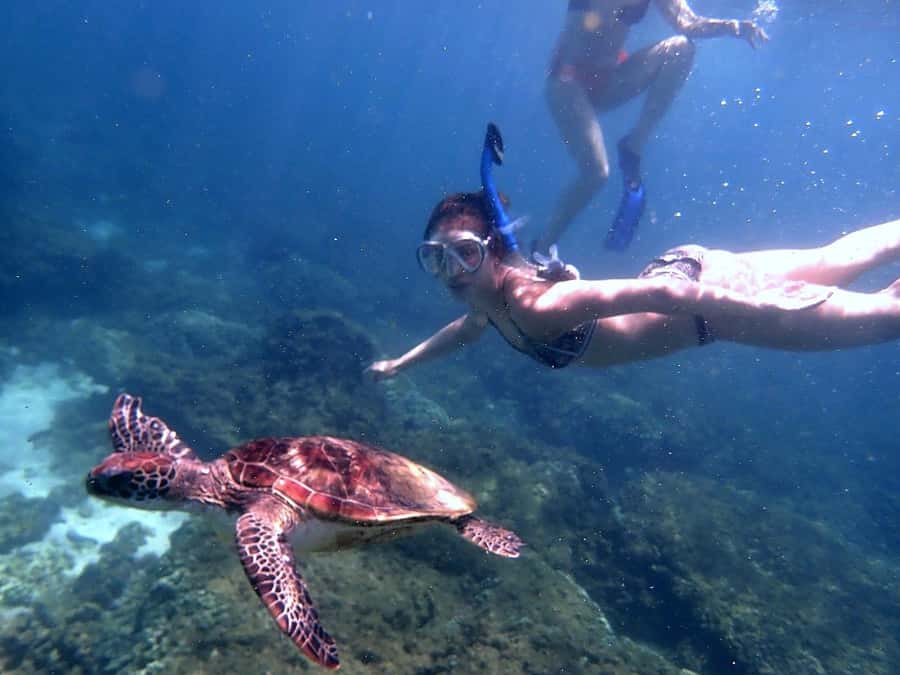 From Al-Seeb: Dimaniyat Islands Boat Trip with Snorkeling - Practical details that can improve your morning