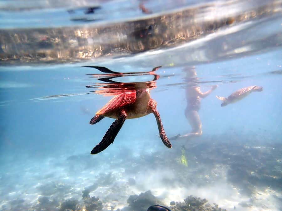 From Al-Seeb: Dimaniyat Islands Boat Trip with Snorkeling - The safety briefing sets the tone