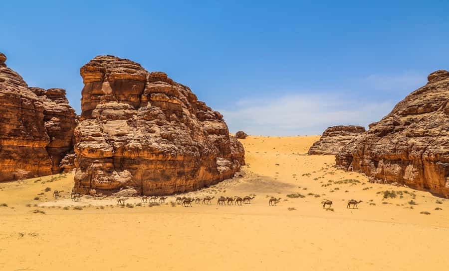 From AlUla: Hegra Tour - Why Hegra is worth your time