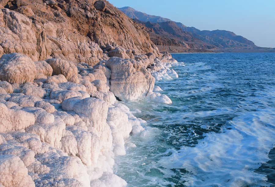 From Amman: Dead Sea and Wadi Mujib Trail Full-Day Tour - Final verdict: book it for the contrast