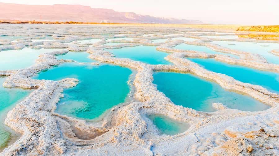 From Amman: Dead Sea and Wadi Mujib Trail Full-Day Tour - The value of $88 per person