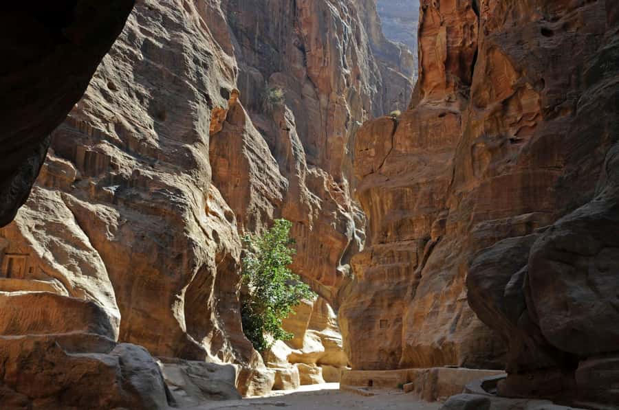 From Amman: Full-Day Private or Group Tour to Petra - Walking toward Al-Deir, the Monastery