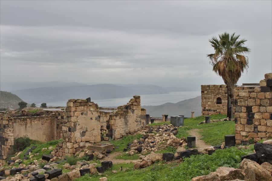 From Amman: Jerash, Umm Qais, and Jesus' Cave Private Trip - Key points to know before booking