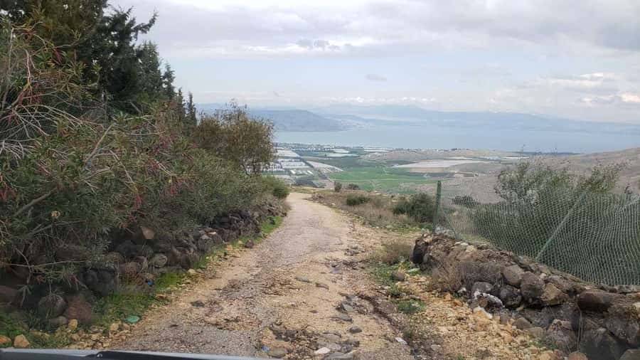 From Amman: Jerash, Umm Qais, and Jesus' Cave Private Trip - Lunch and the practical rhythm of the day