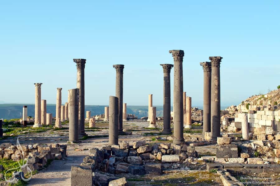 From Amman: Jerash, Umm Qais, and Jesus' Cave Private Trip - The drivers and the level of personal service