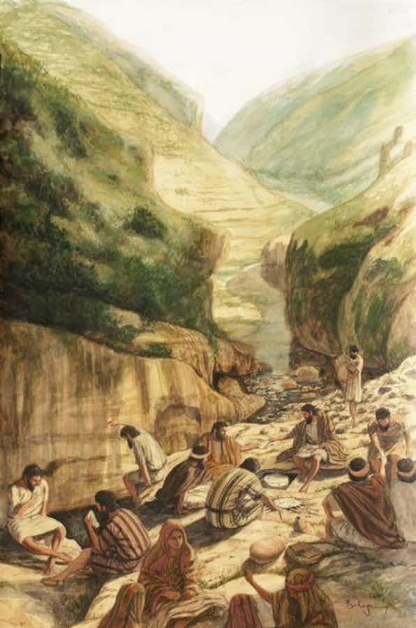From Amman: Jerash, Umm Qais, and Jesus' Cave Private Trip - Is $87 a fair price?
