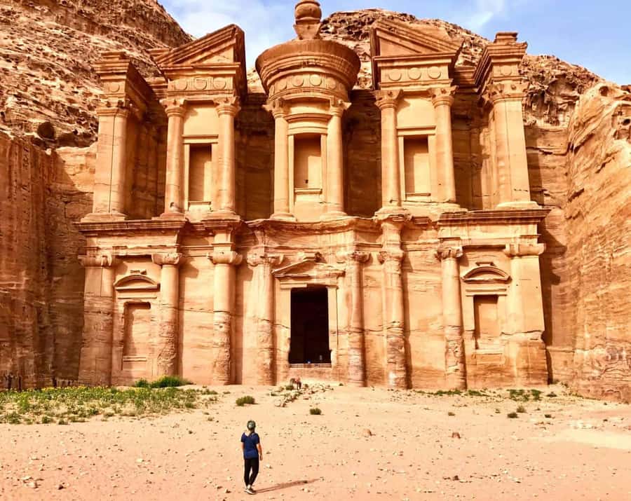 From Amman: Petra and Dead Sea Private Day Tour - What the private driver adds
