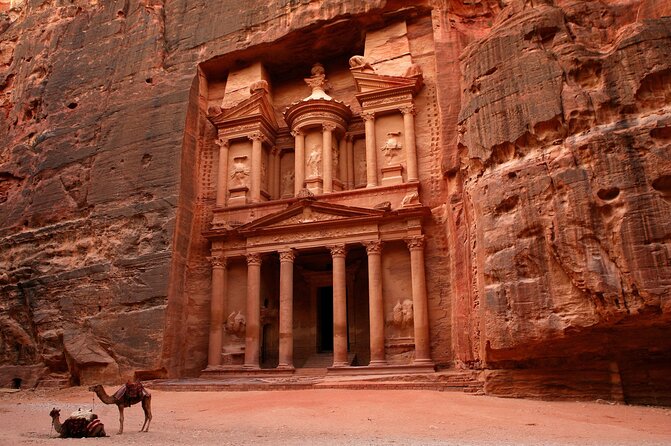 From Amman: Petra and Wadi rum Full day Tour - What your private driver adds
