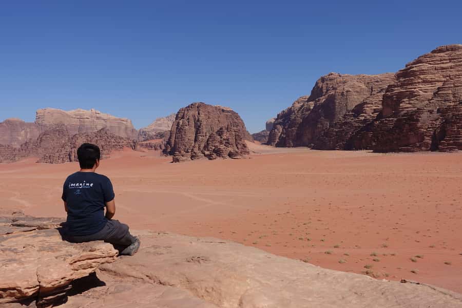 From Amman: Petra & Wadi Rum Private or group Day Tour - What the drivers add to the day