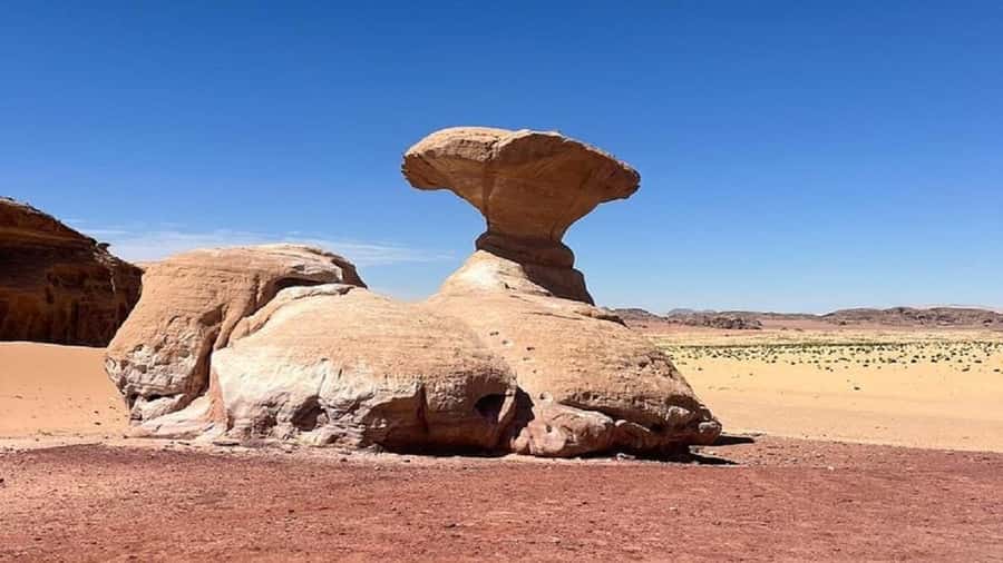 From Amman: Petra & Wadi Rum Private or group Day Tour - The hard parts you should plan for