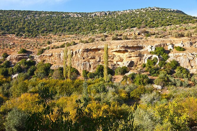 From Amman :Private day tour to Jerash and Ajloun - Key Points Before You Book