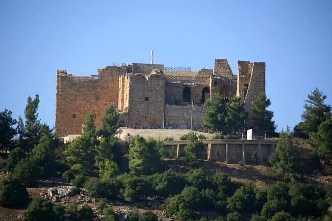 From Amman :Private day tour to Jerash and Ajloun - The Road From Jerash to Ajloun
