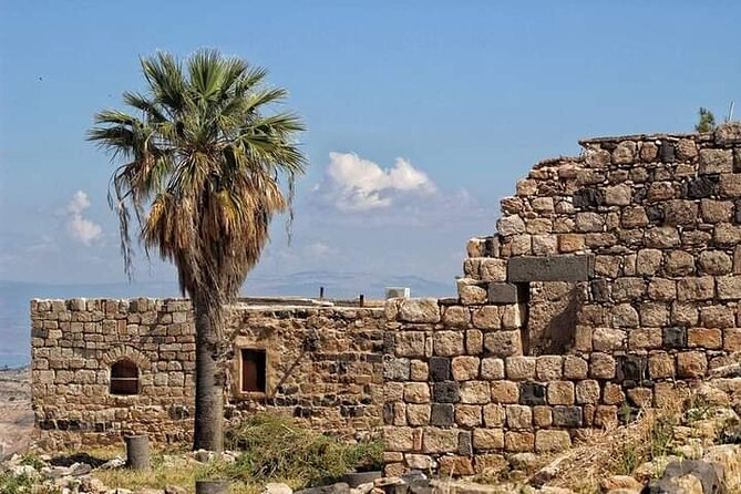 From Amman: Private Full Day Tour Jerash Ajloun & Um Qais - Who should book this experience?