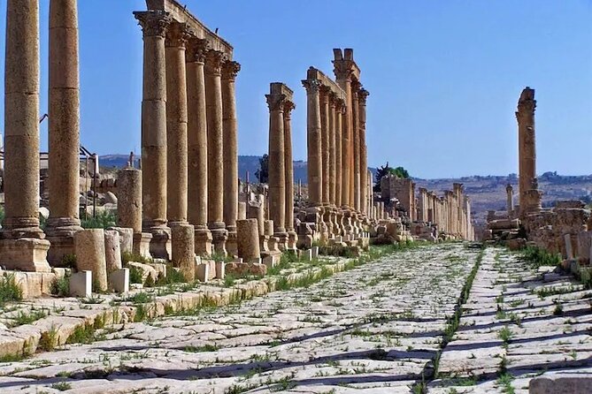 From Amman: Private Full Day Tour Jerash Ajloun & Um Qais - Ajloun Castle and the forested hills