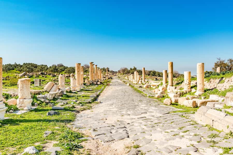 From Amman: Private Jerash, Ajloun Castle, and Umm Qais Tour - Why Jerash deserves the full morning