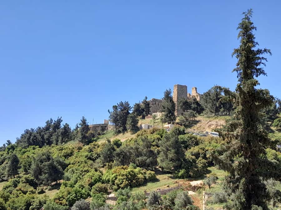 From Amman: Private Jerash, Ajloun Castle, and Umm Qais Tour - Umm Qais is about the view as much as the ruins