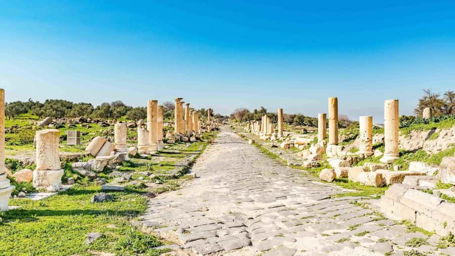 From Amman: Private Jerash, Ajloun Castle, and Umm Qais Tour - What the $57 price does and does not cover