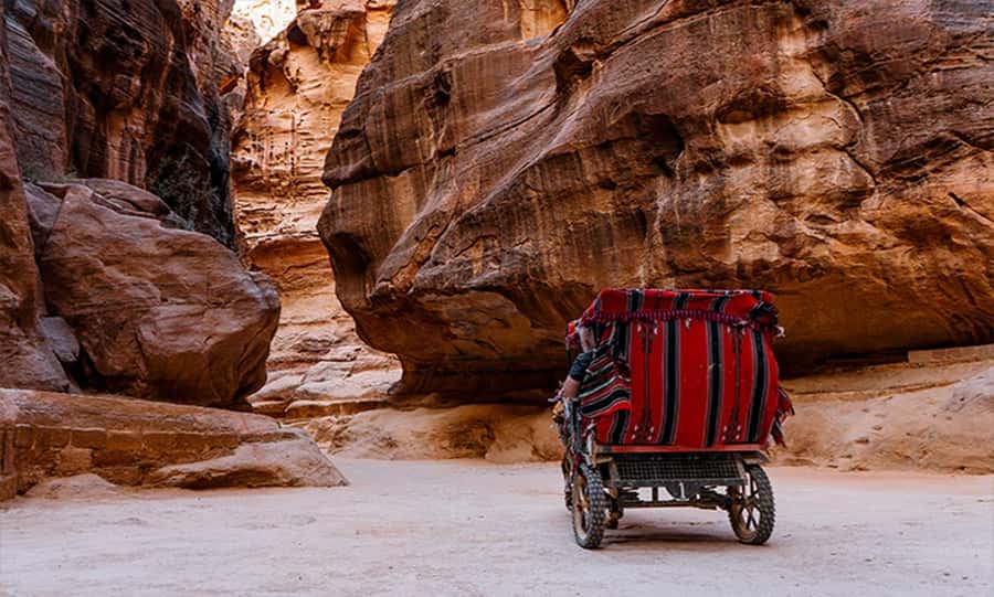 From Amman: Private Petra Day Trip with Guide - The Theater, Royal Tombs, and Byzantine Church