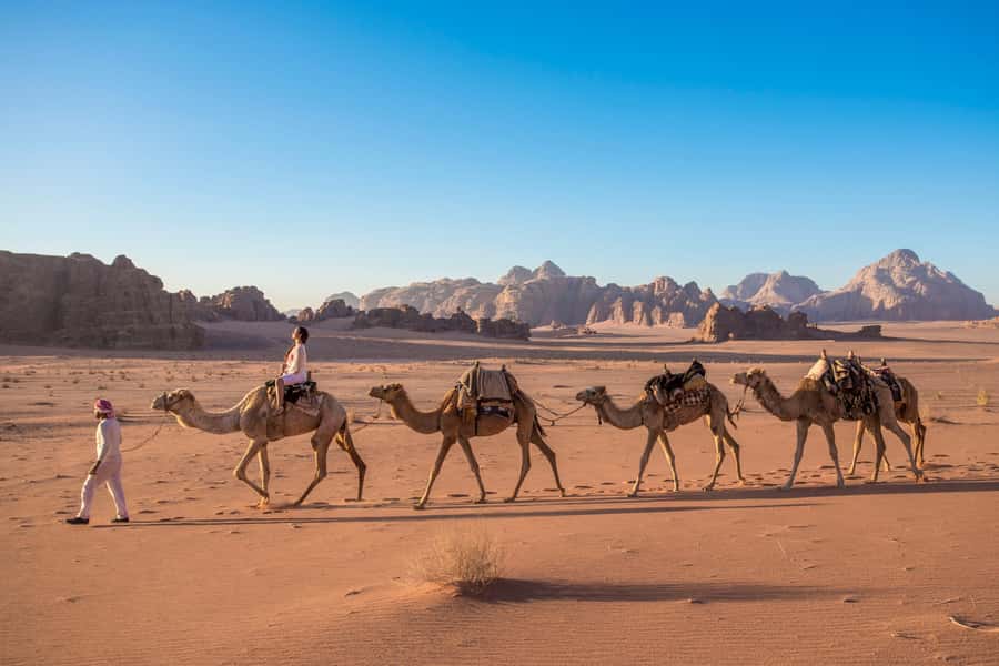 From Aqaba: Jeep Tour to Wadi Rum Desert - Canyons, water holes, and ancient rock drawings