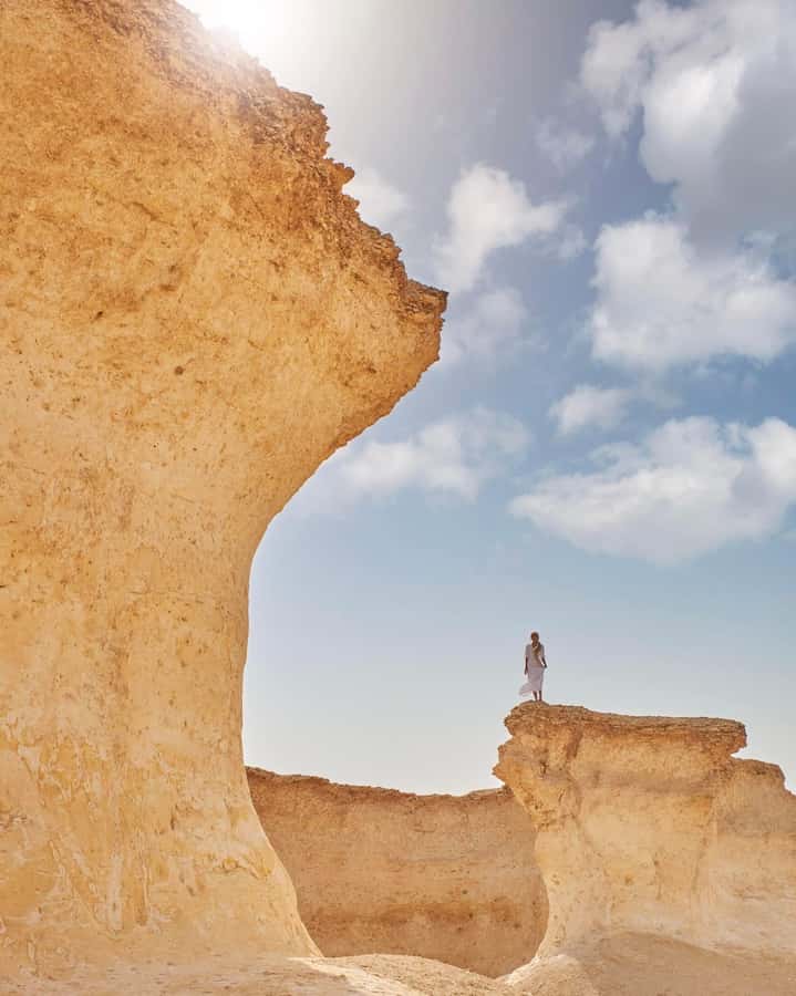 From Doha: Culture & History Qatar Tour to the North & West - Al Shahaniya and Qatar’s camel culture