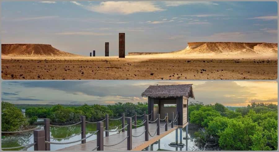 From Doha: Culture & History Qatar Tour to the North & West - From Doha to Purple Island
