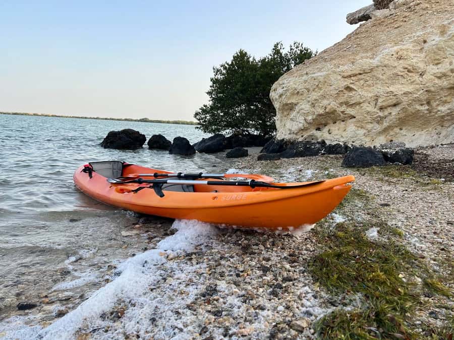 From Doha: Mangroves Kayaking Adventure - Key points to know before booking