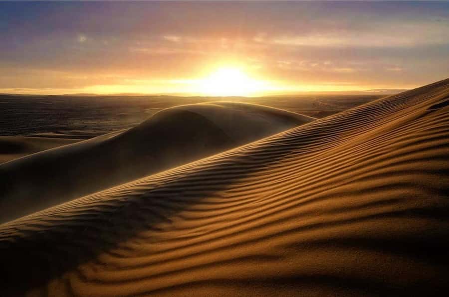 From Doha: Sunrise or Sunset Safari with Sand Boarding - Key points to know before you book