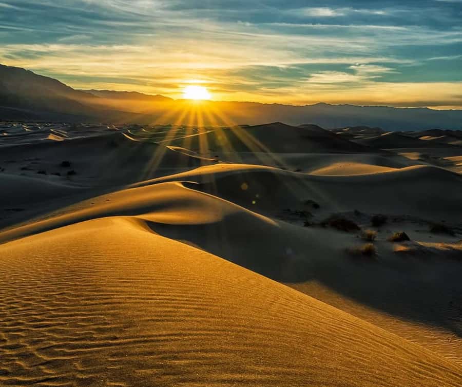 From Doha: Sunrise or Sunset Safari with Sand Boarding - From Doha to the open desert