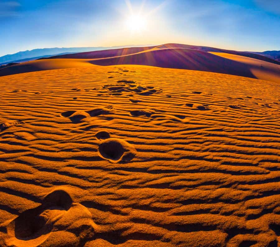 From Doha: Sunrise or Sunset Safari with Sand Boarding - Sunrise and sunset at the Inland Sea