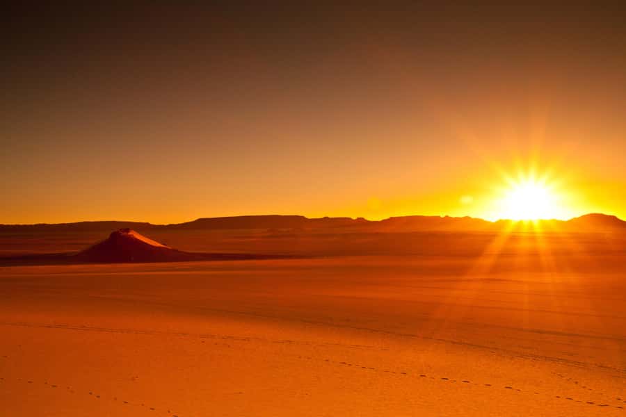 From Doha: Sunrise or Sunset Safari with Sand Boarding - Value at $27 per person