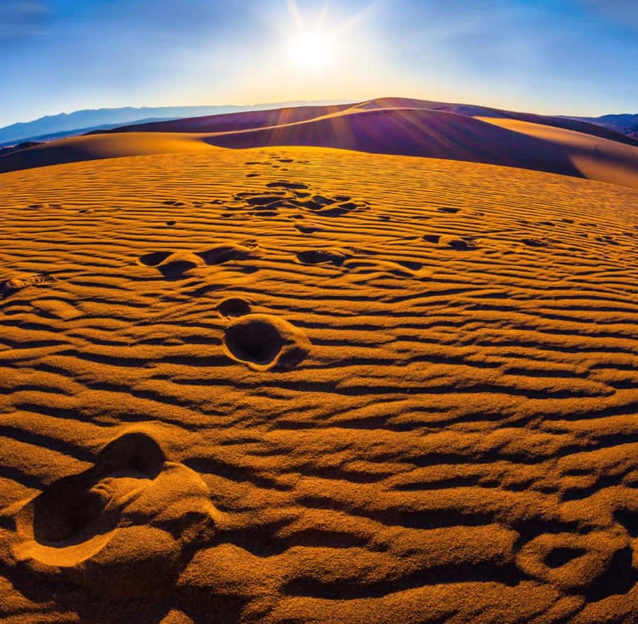 From Doha: Sunrise or Sunset Safari with Sand Boarding - The first desert stop near Mesaieed
