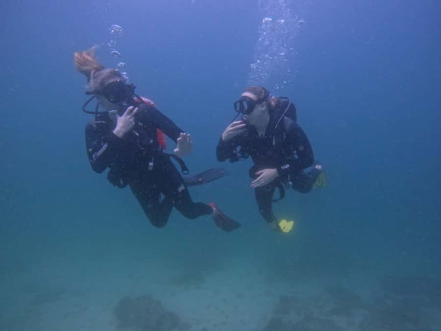 From Dubai: 2 Dives for Certified Divers with BBQ & Transfer - Two Fujairah sites, one early start