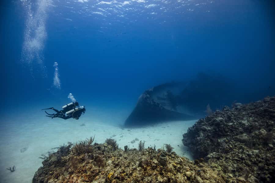 From Dubai: 2 Dives for Certified Divers with BBQ & Transfer - What you may find below the surface