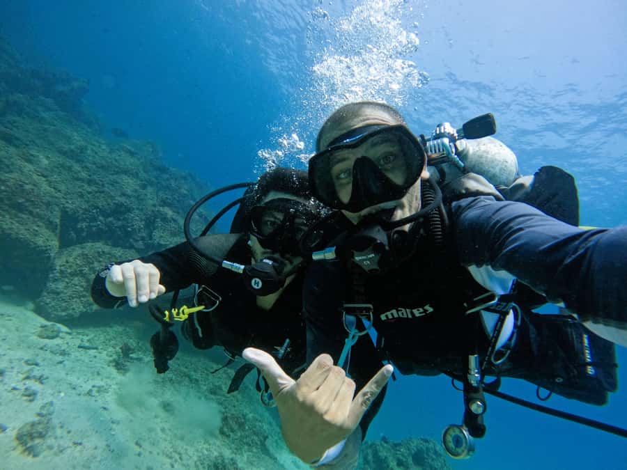 From Dubai: 2 Dives for Certified Divers with BBQ & Transfer - Safety, communication, and skill level