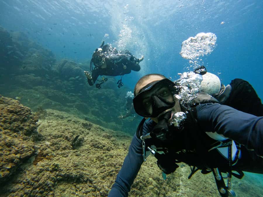 From Dubai: 2 Dives for Certified Divers with BBQ & Transfer - Who should book this Fujairah outing
