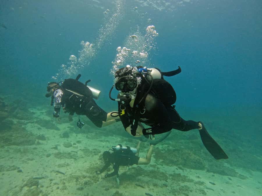 From Dubai: 2 Dives for Certified Divers with BBQ & Transfer - Should you book the two-session package?