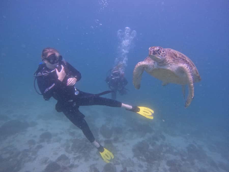 From Dubai: 2 Dives for Certified Divers with BBQ & Transfer - The 42-foot boat and its practical comforts